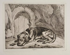Der Hund Legere von Johann Adam Klein