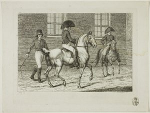 Reitschule und Pferde
