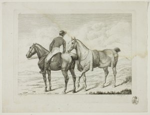 Reitschule und Pferde