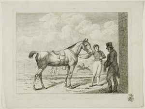 Reitschule und Pferde
