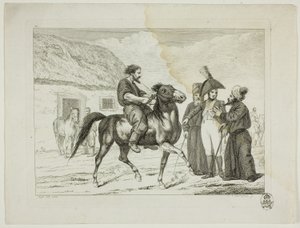 Reitschule und Pferde