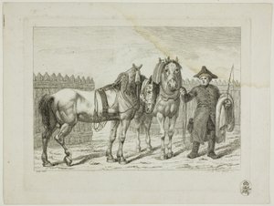 Reitschule und Pferde