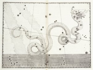 Konstellation von Serpens Caput und Serpens Cauda, ca. 1603 von Johann Bayer