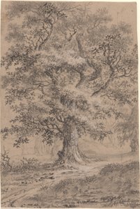 Ein blättriger Eichenbaum an einem Waldweg von Johann Caspar Huber