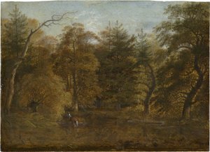 Waldlandschaft mit einem Teich