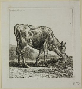Kalb füttern, aus Die Zweite Thierfolge von Johann Christian Reinhart