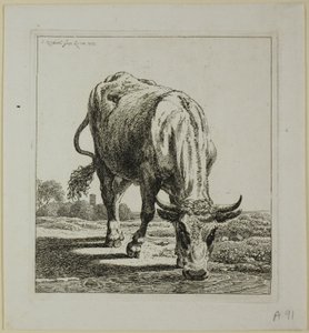 Kuh trinkt, aus Die Zweite Thierfolge von Johann Christian Reinhart