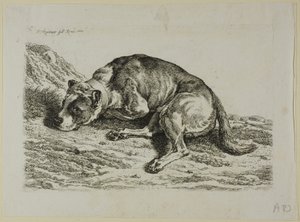 Liegender Hund, aus Die Zweite Thierfolge von Johann Christian Reinhart