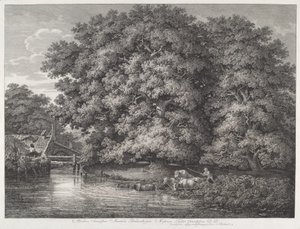 Die Mühle bei den großen Eichen