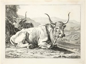 Zwei ruhende römische Stiere, aus Die zweite Tierfolge von Johann Christian Reinhart