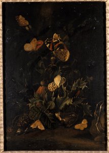 Blumen mit Schmetterlingen und Kröte von Johann Christian Thomas Winck