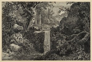 Wasserfall im Wald von Johann Christoph Erhard