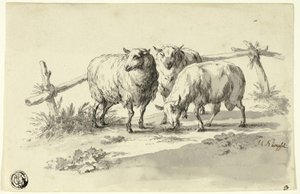 Schafe von Johann Christoph Kimpfel