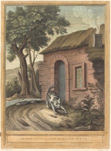 Die alte Katze und die junge Maus von Johann Christoph Teucher after Jean Baptiste Oudry