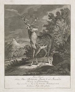 Ein prächtiger Hirsch in einer Landschaft