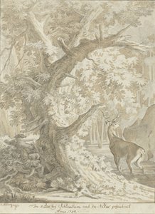 Jäger zielt auf einen Hirsch im Wasser unter einem alten Baum von Johann Elias Ridinger