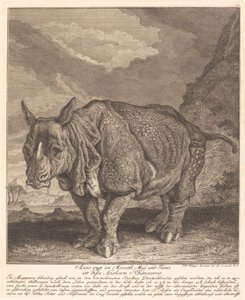 Nashorn von Johann Elias Ridinger