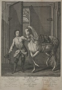 Neue Schule der Reitkunst von Johann Elias Ridinger