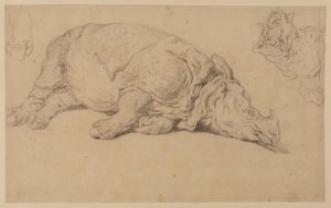 Nashorn, das auf der Seite liegt von Johann Elias Ridinger or Riedinger