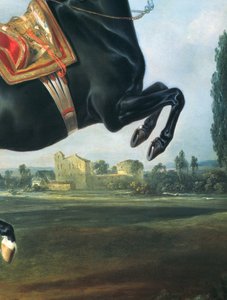 Ein schwarzes Pferd, das die Courbette ausführt (Detail)