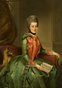 Porträt von Prinzessin Frederika Sophia Wilhelmina (1751-1820), ca. 1768-1769 von Johann Georg Ziesenis