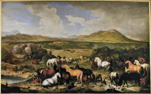 Johann Georg de Hamilton, Lippizaner von Johann Georg de Hamilton
