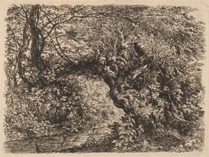 Eine alte Weide an einem Bach von Johann Georg von Dillis