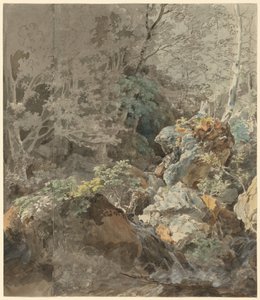 Wasserfälle in einem Bergwald von Johann Georg von Dillis