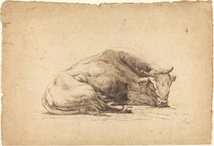 Ein schlafender Stier