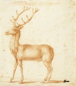Ein Hirsch, 17. Jahrhundert von Johann Heinrich Roos