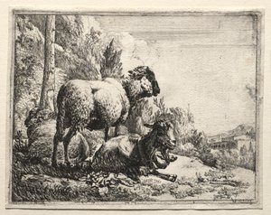 Ziege mit Glocke, 1665