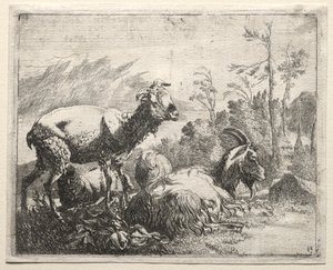 Ziegen von Johann Heinrich Roos