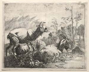 Ziegen, 1665