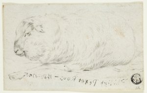 Liegendes Schaf von Johann Heinrich Roos