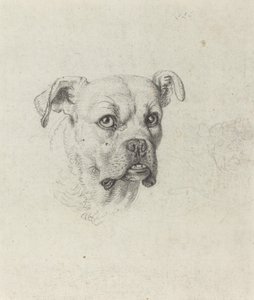 Ein Boxer von Johann Heinrich Wilhelm Tischbein