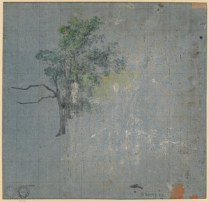 Baumstudien (verso) von Johann Jacob Dorner