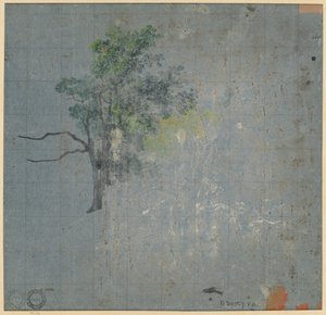 Baumstudien, erste Hälfte 1800er von Johann Jacob Dorner