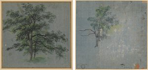 Zwei Bäume (recto) Baumstudien (verso) von Johann Jacob Dorner