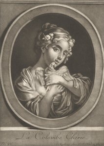 Die geliebte Taube