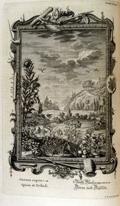 Kupferstich aus 