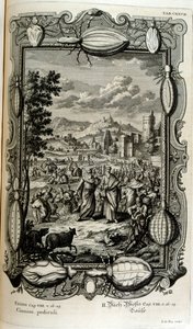 Plage der Läuse und Mücken von Johann Jakob Scheuchzer