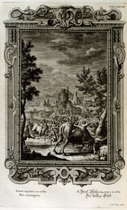 Opferung von Wildstieren