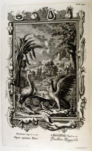 Die Schöpfungsgeschichte der Genesis ist der Schöpfungsmythos sowohl des Judentums als auch des Christentums. Der fünfte Schöpfungstag: Tiere werden erschaffen von Johann Jakob Scheuchzer
