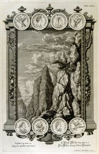 Zeus symbolisiert als Adler von Johann Jakob Scheuchzer
