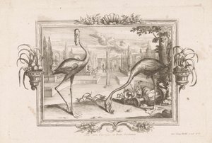 Zwei Flamingos