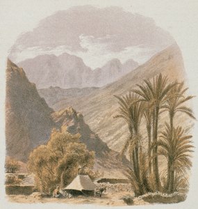 Sinai. Radierung von Bernatz et alii - Steinkopk J.F. Editore