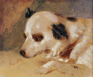 Kopf eines Hundes von Johann Matthias Ranftl