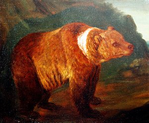 Ein Braunbär in einer Landschaft, ca. 1719