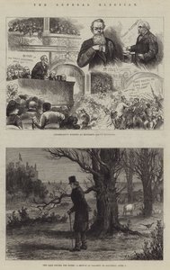Die Parlamentswahl von Johann Nepomuk Schonberg