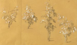 Weinstock, Studie zu "Hermann und Dorothea im Weinberg" von Johann Peter Krafft